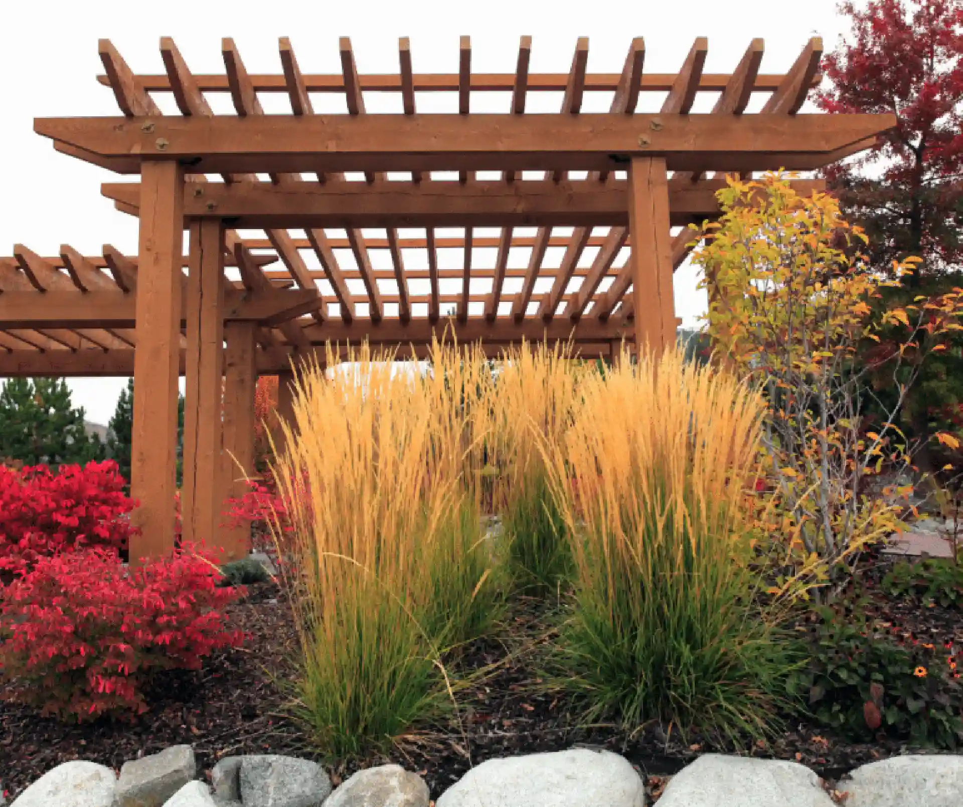 traditional wooden pergola - What is a pergola - gazebo vs pergola comparison